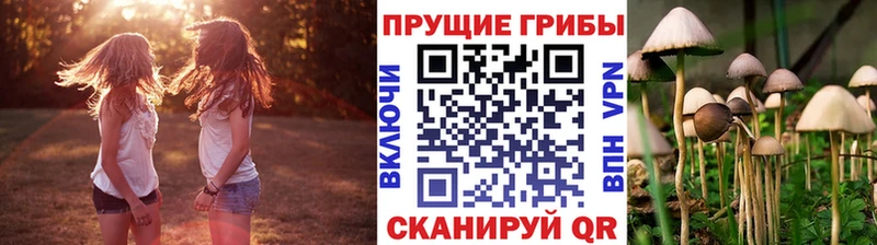 Псилоцибиновые грибы прущие грибы  магазин продажи наркотиков  Красный Кут 